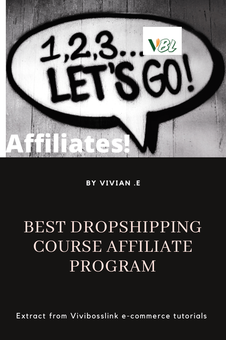 Best Dropshipping  Course Affiliate Program